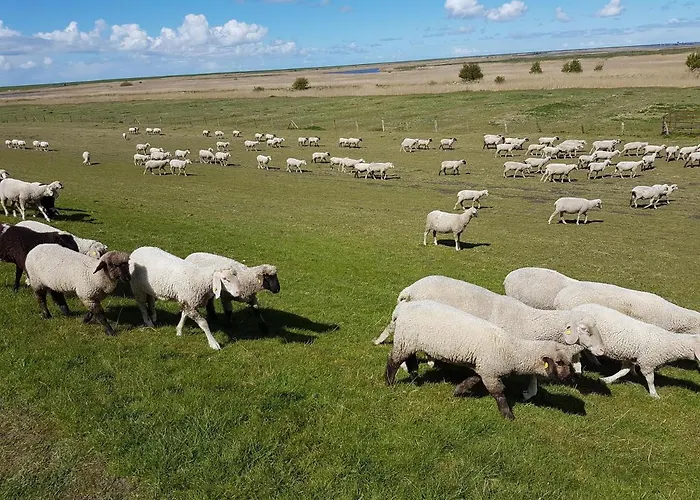 Oltmanns Bummert Am Hafen * 特希尔